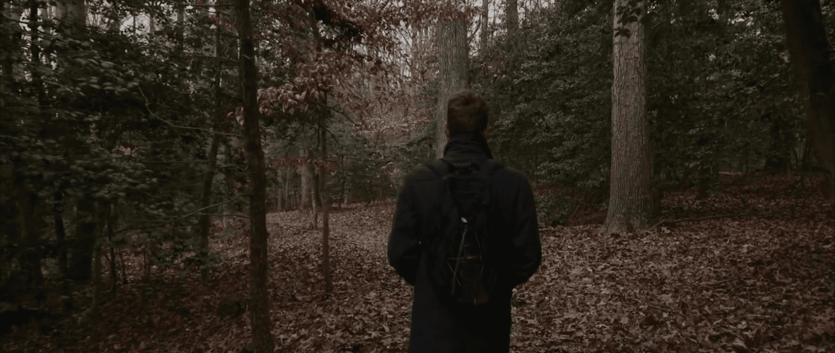 Jared Boggess walking in the woods