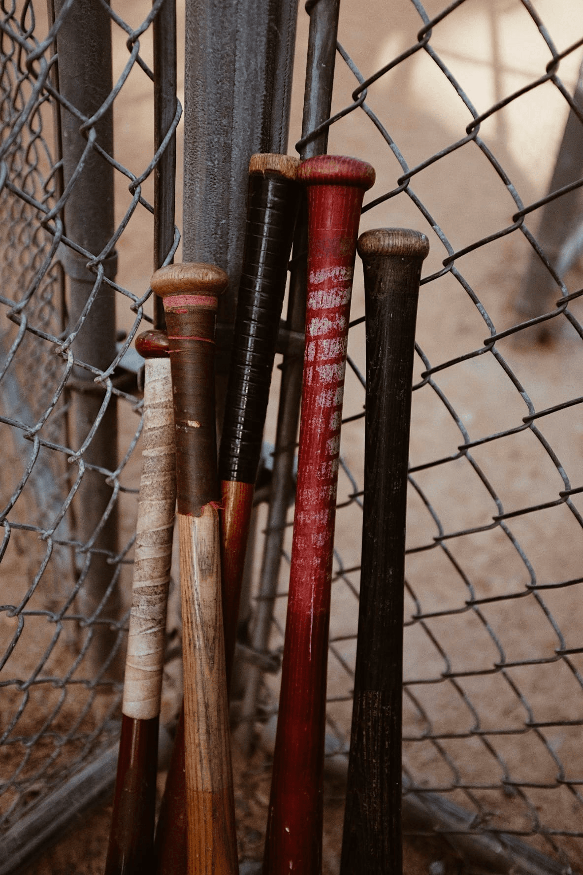 wooden baseball bats